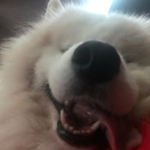 Meet your Posher, Que